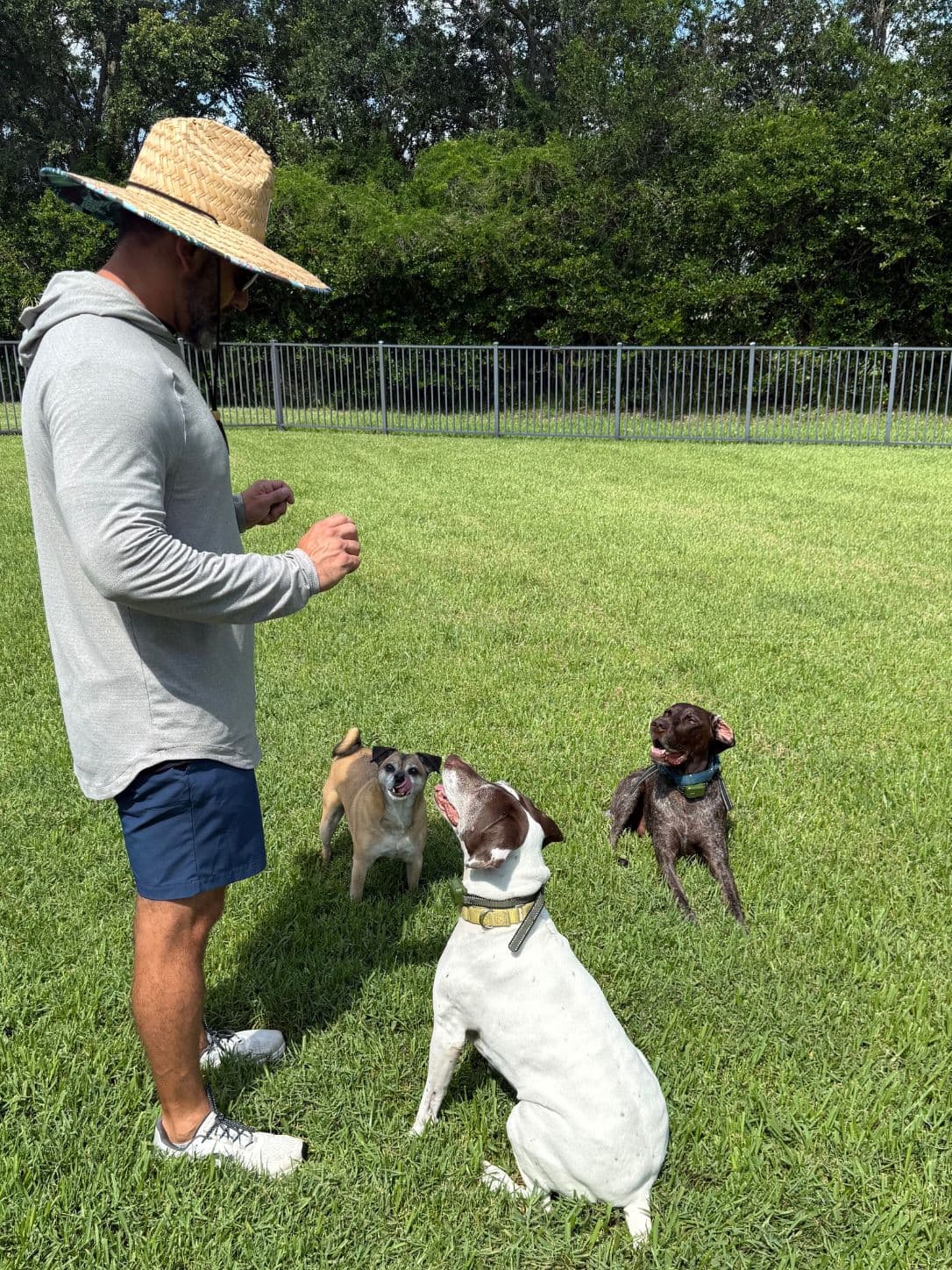 Pupkept owner with happy dogs in a fenced Vero Beach yard