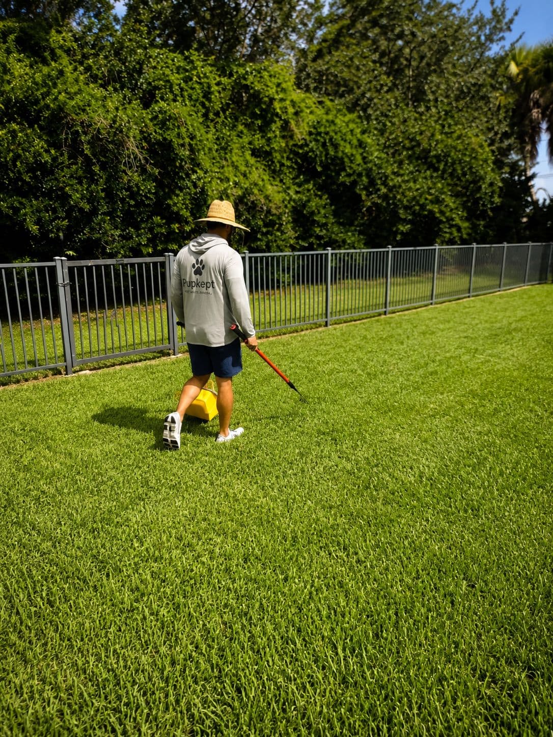 Pupkept tech scooping a fenced Vero Beach yard